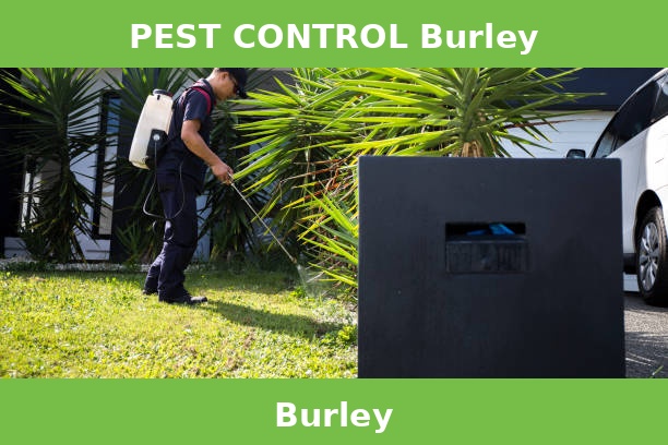 PEST CONTROL Burley